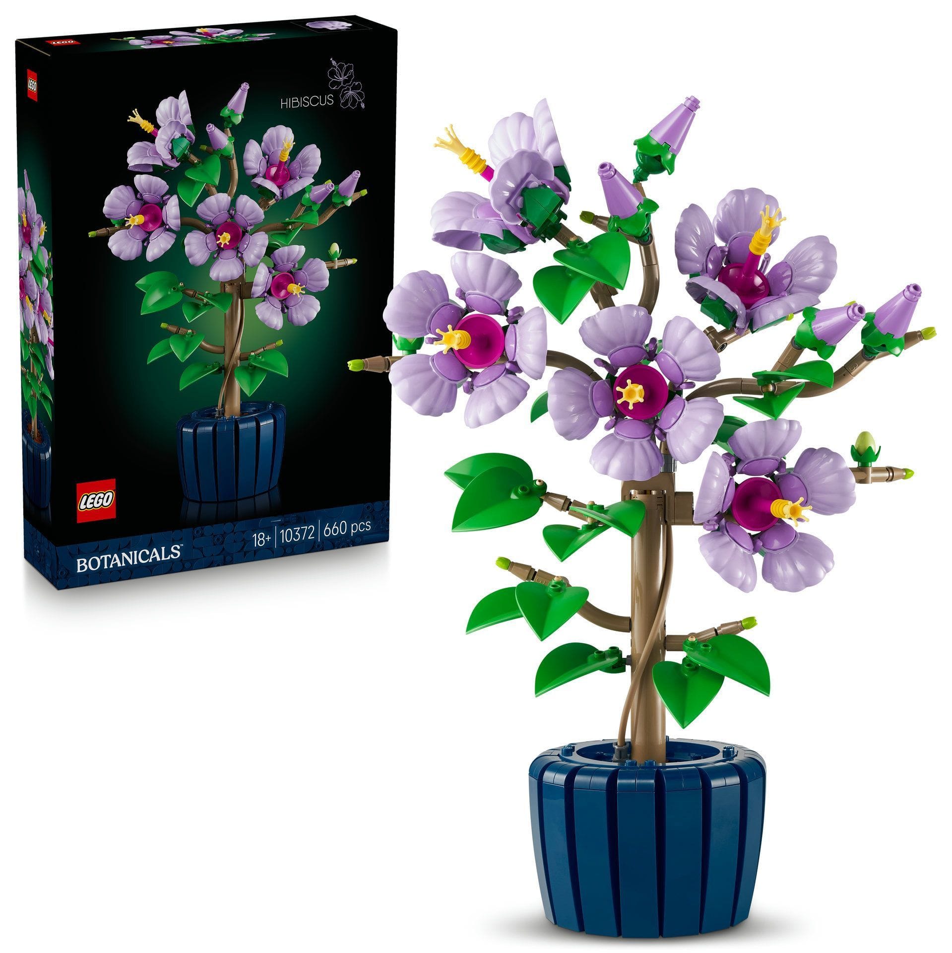 Kubbabúðin Hibiscus